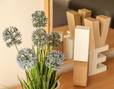 hoteloceanic it speciale-rimini-wellness-con-sconti-per-gruppi 022